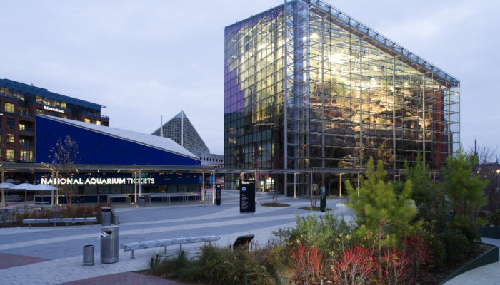 Baltimore National Aquarium